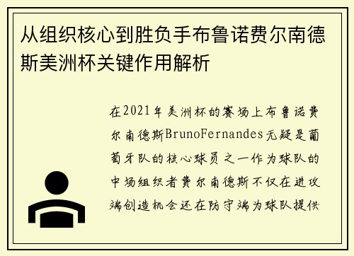 从组织核心到胜负手布鲁诺费尔南德斯美洲杯关键作用解析